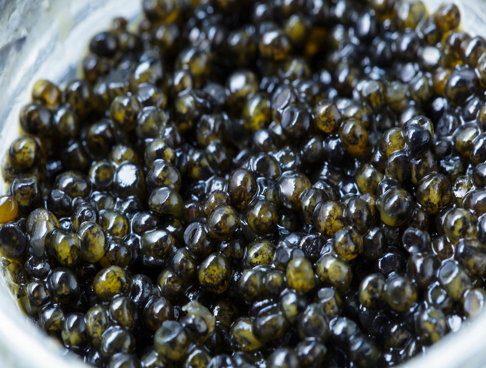 Platinum Osetra Caviar 4oz – Hokkaido Uni Shop