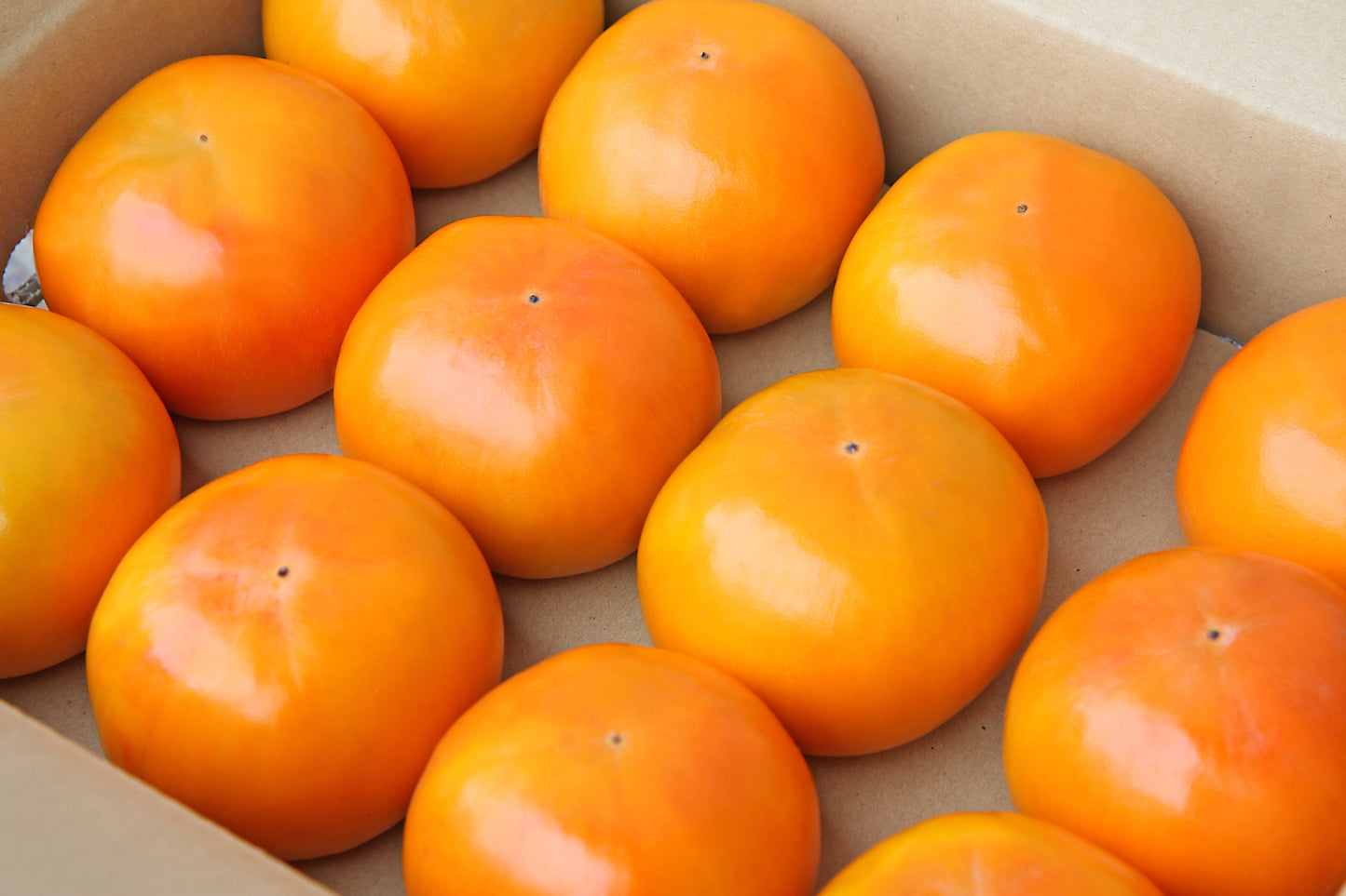 Fuyu Kaki Japanese Persimmons Large 3pc