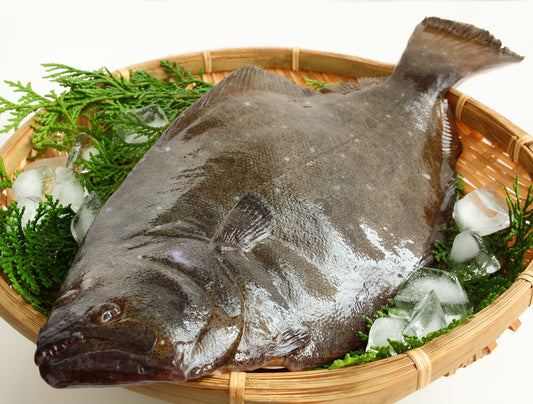 Hirame 3lb