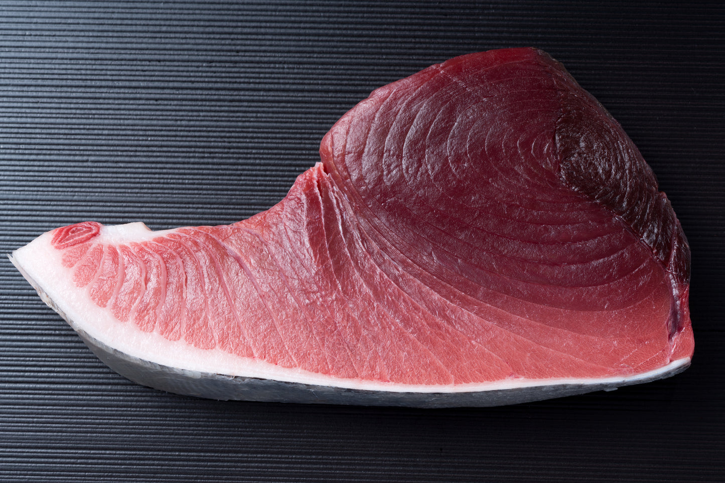 AAA Yamayuki Akami 0.5lbs