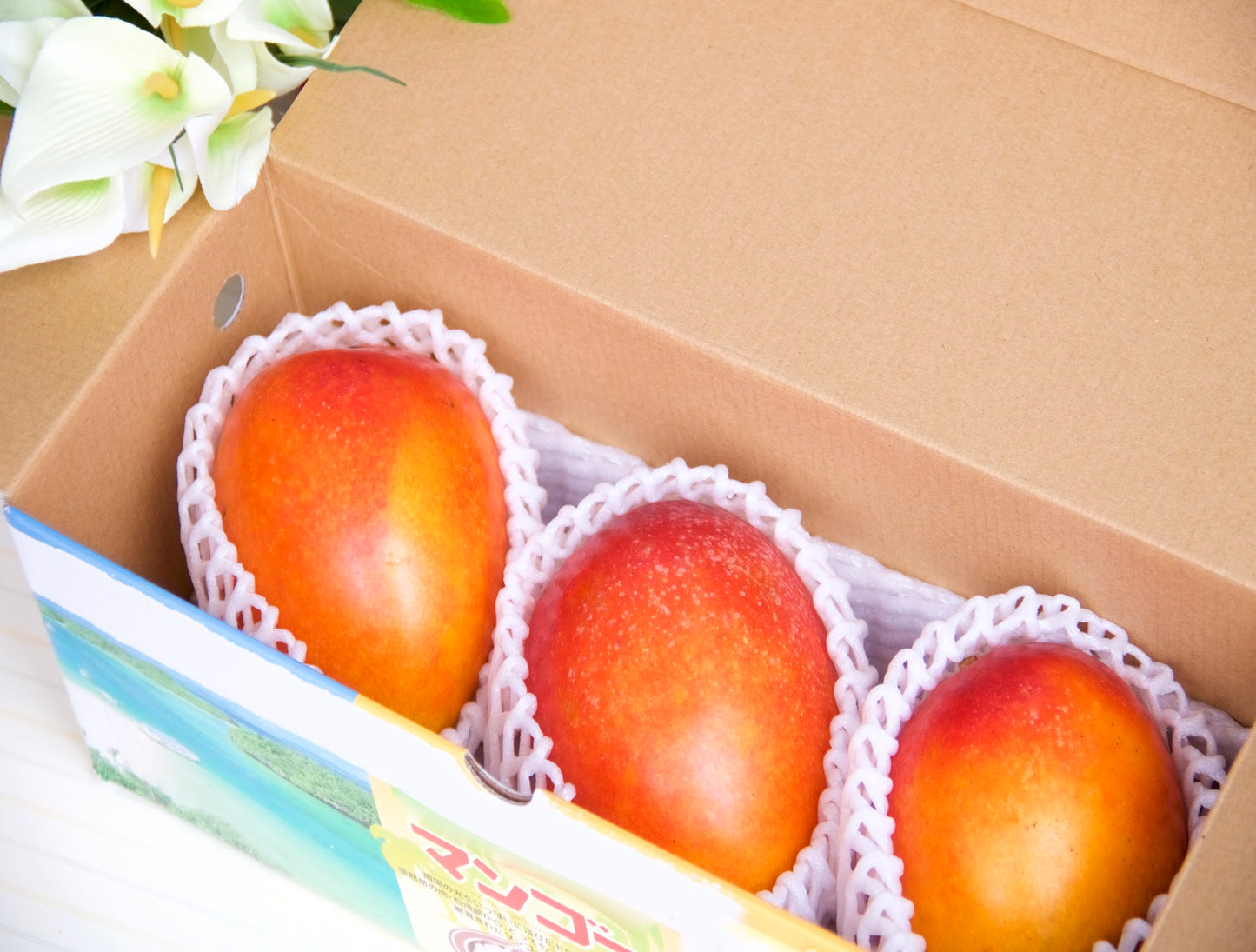 Miyazaki Mango "Taiyo No Tamago" Set (3pcs)