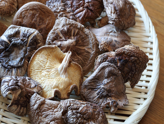 Dried Shiitake "Kouko" 1.75 oz