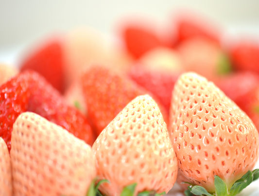 Hokkaido Strawberry Mix Collection 250g - limited availability