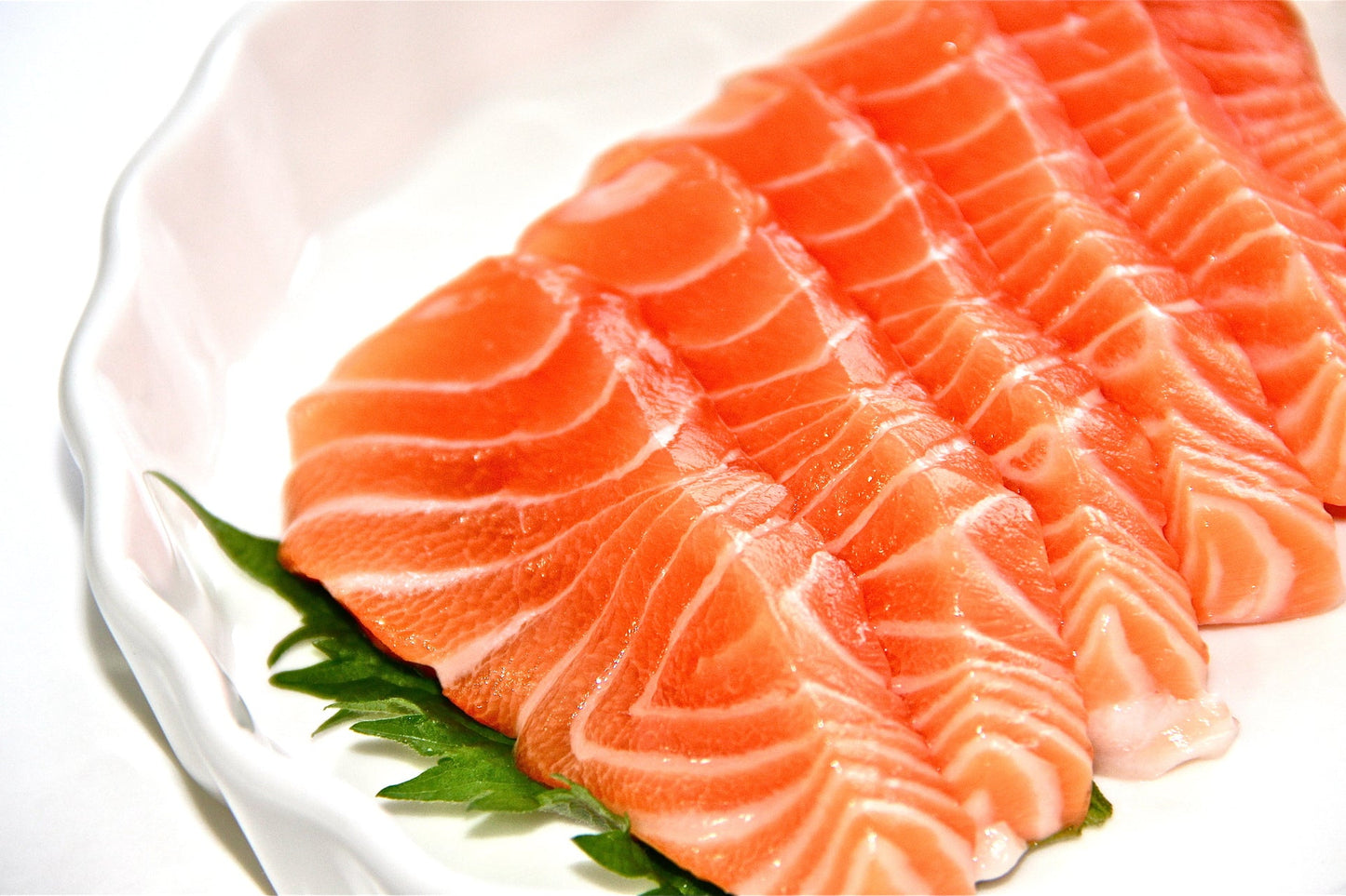 Fresh King Salmon Portion Cut (Toro Quality) 1.0lbs