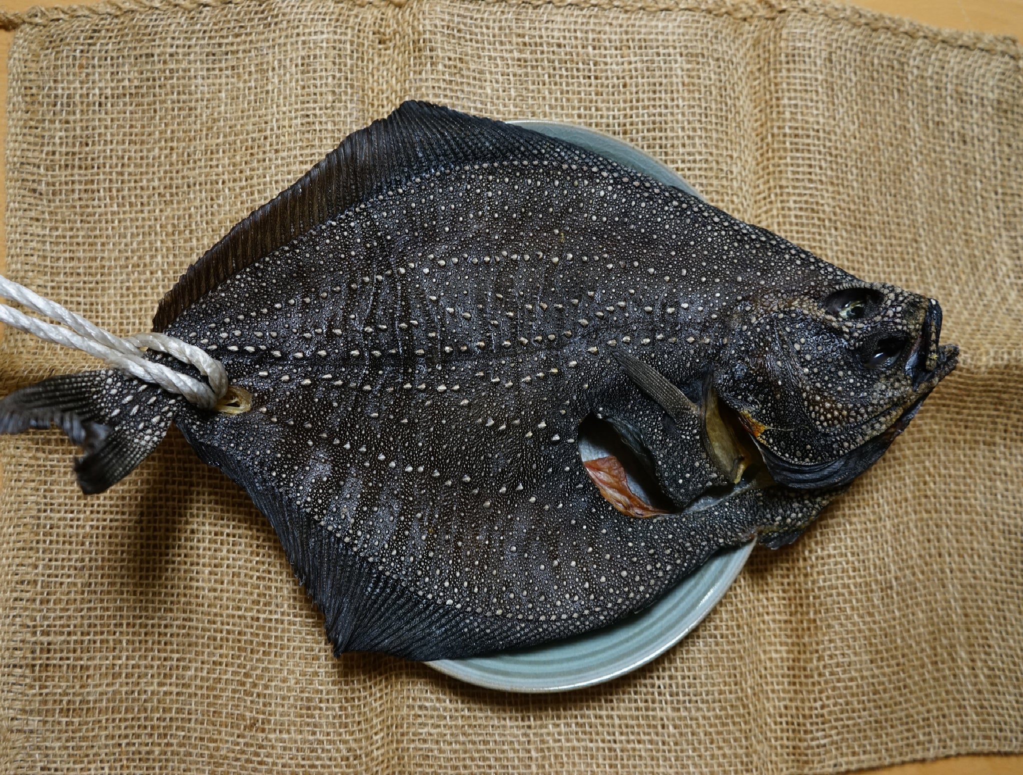 Same Karei Flatfish 5lbs – Hokkaido Uni Shop