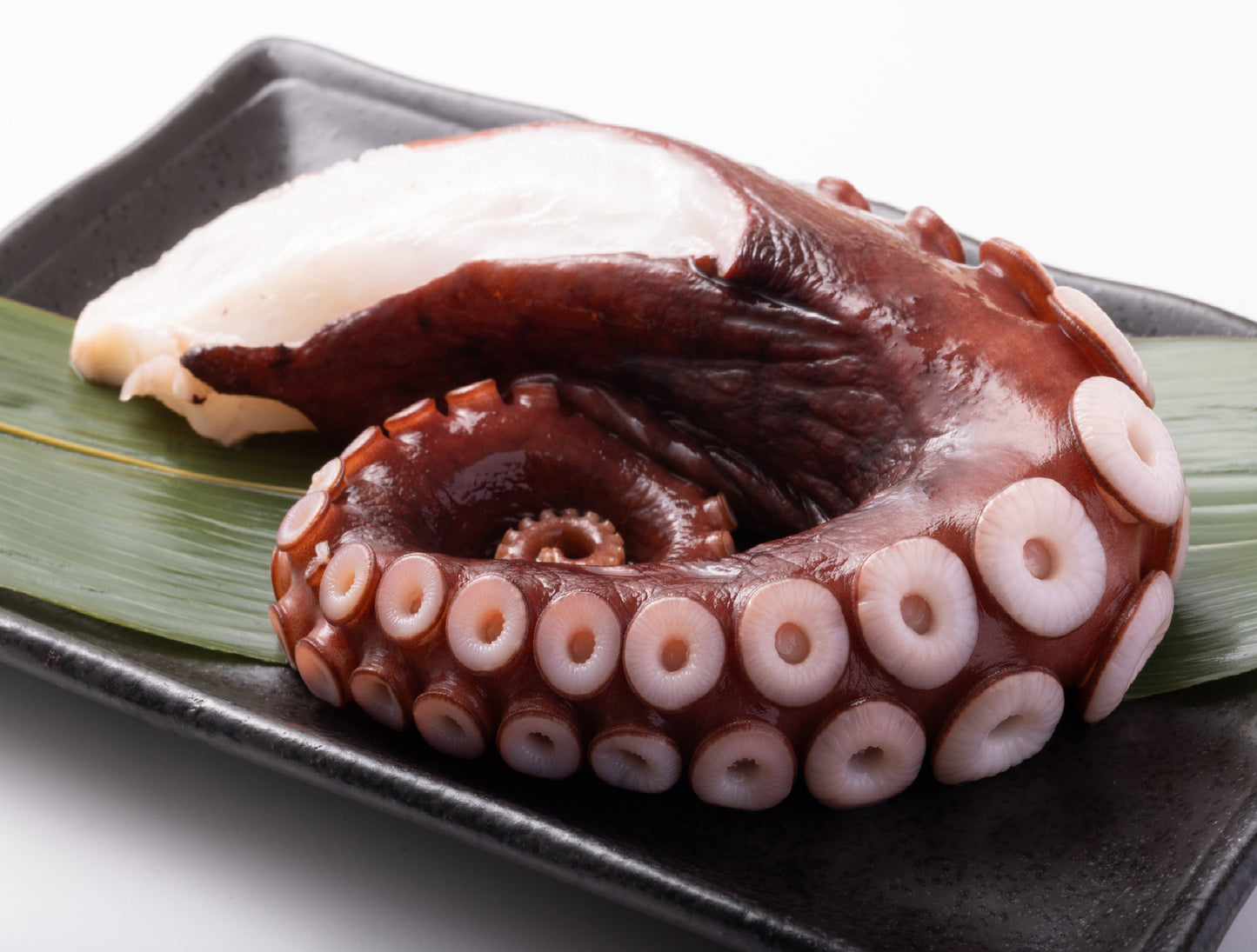 Hokkaido Fresh Octopus (Sashimi Quality) 1kg