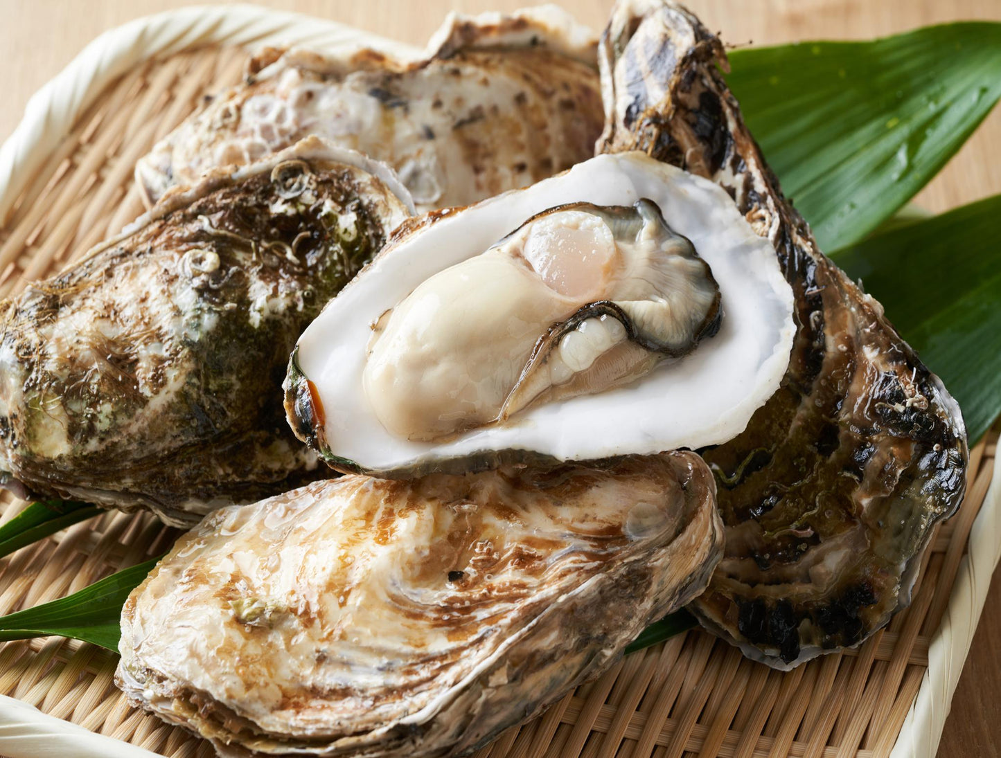 Kumamoto Oyster Dozen