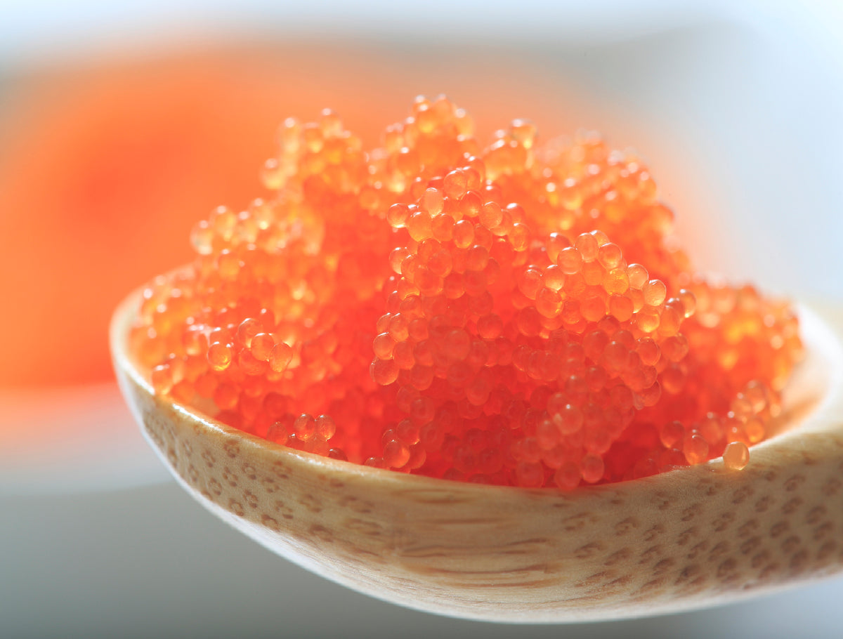 Tobiko Flying Fish Roe 500g – Hokkaido Uni Shop