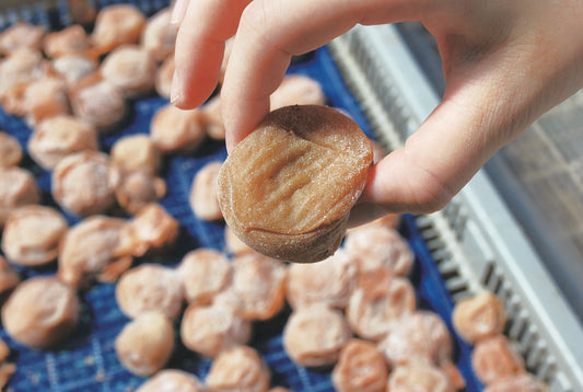 Kombu Umeboshi Sour Plum Kishu 8oz