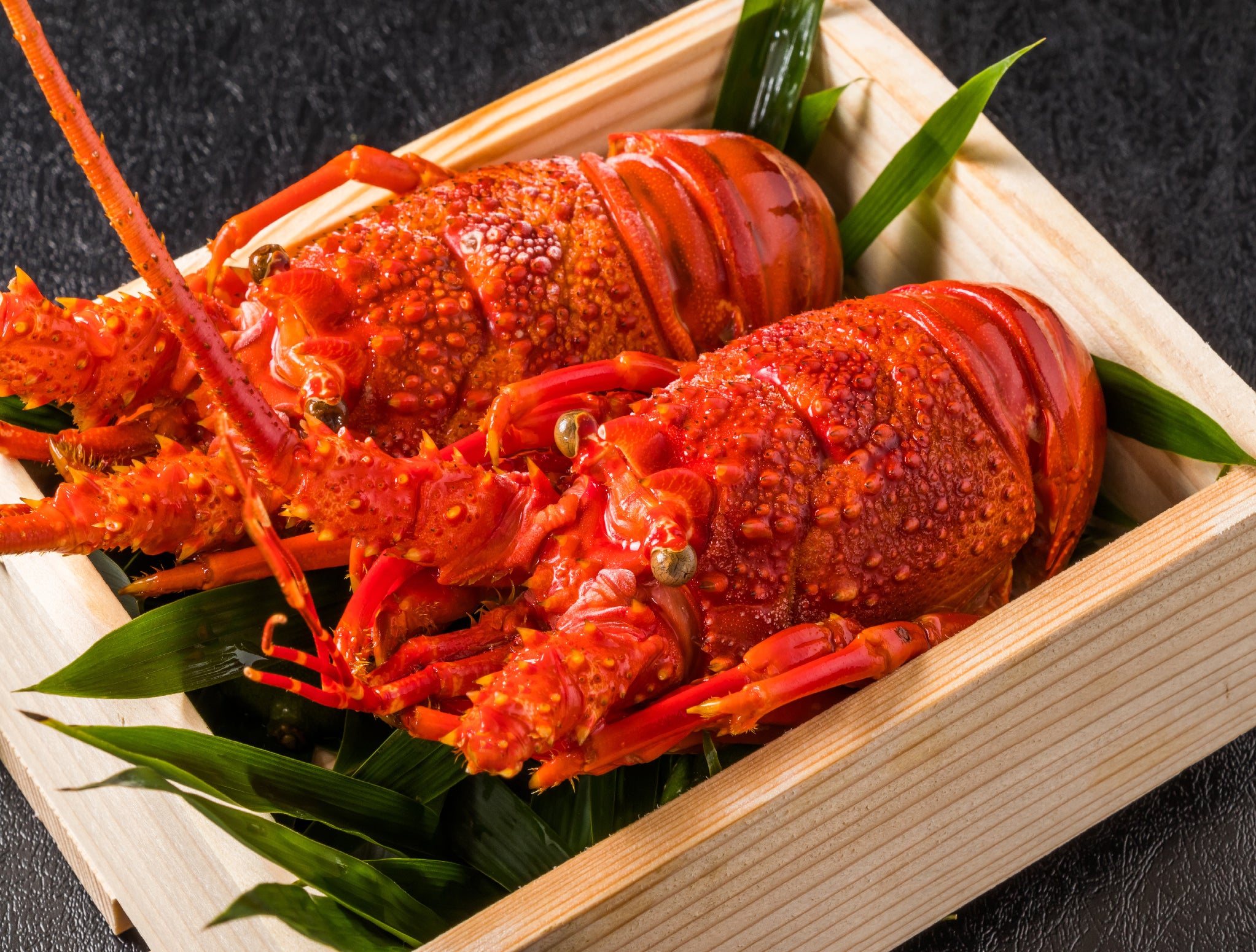 Frozen Ise Ebi (Japanese Lobster)
