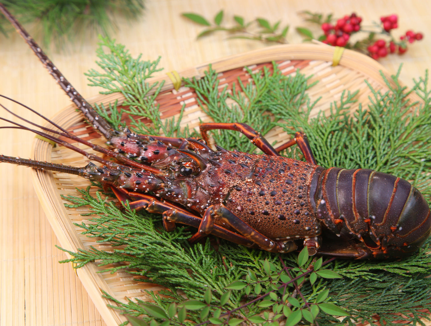 Frozen Ise Ebi (Japanese Lobster)