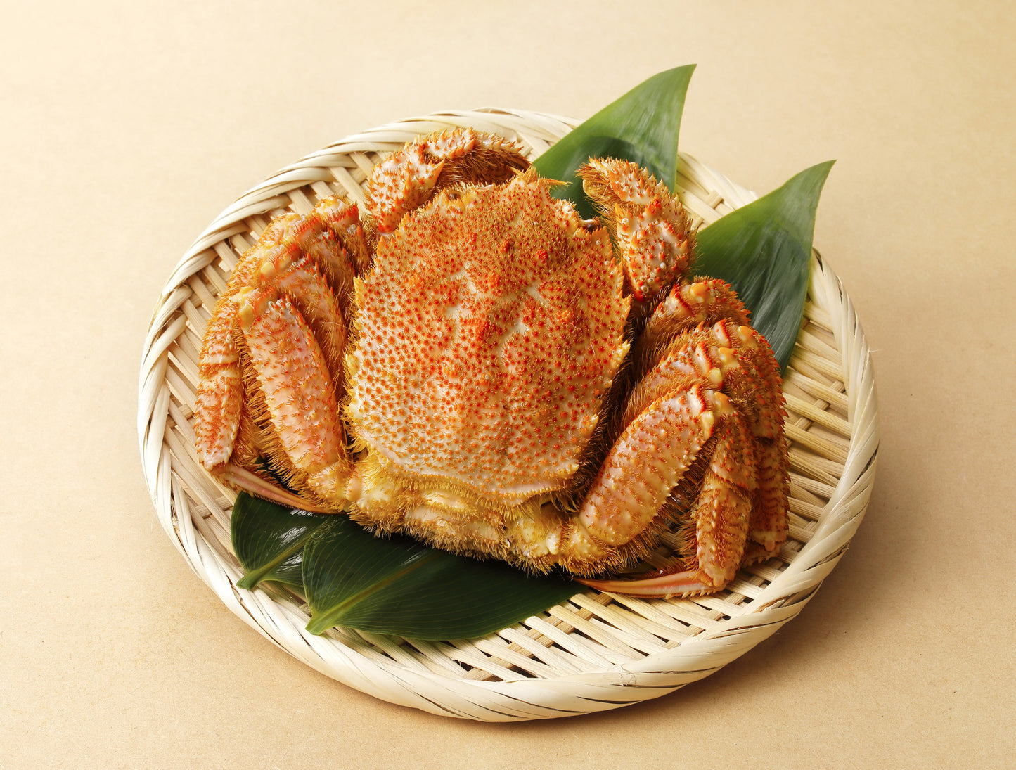 Hokkaido Kegani 毛蟹 (Horsehair Crab) 500g