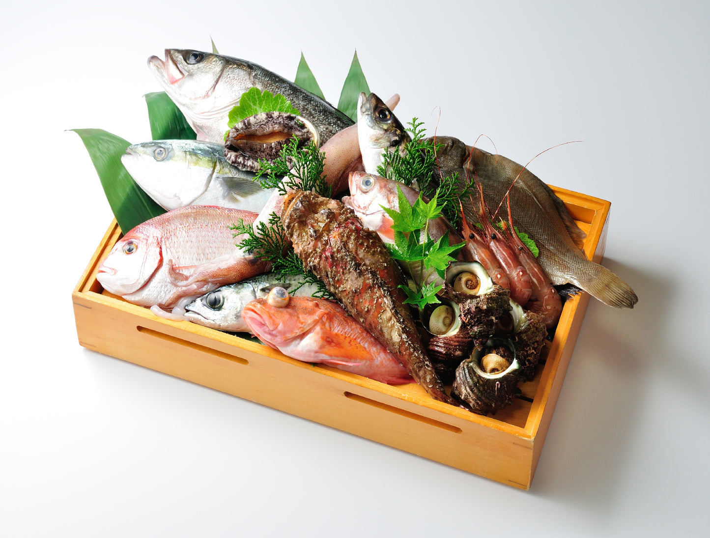 Omakase Hokkaido Fish Box