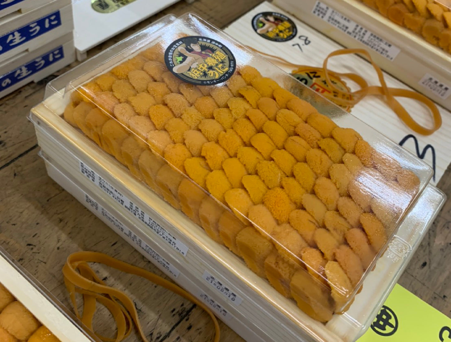 AAA Bafun Uni "Hamanaka"  300g - Farm Raised