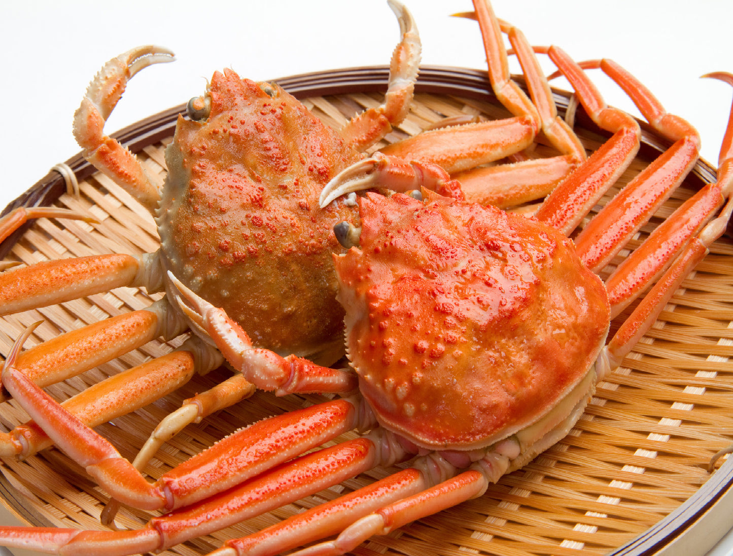 Seiko Gani (Snow Crab)