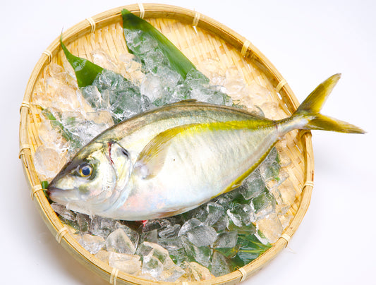 Shima Aji