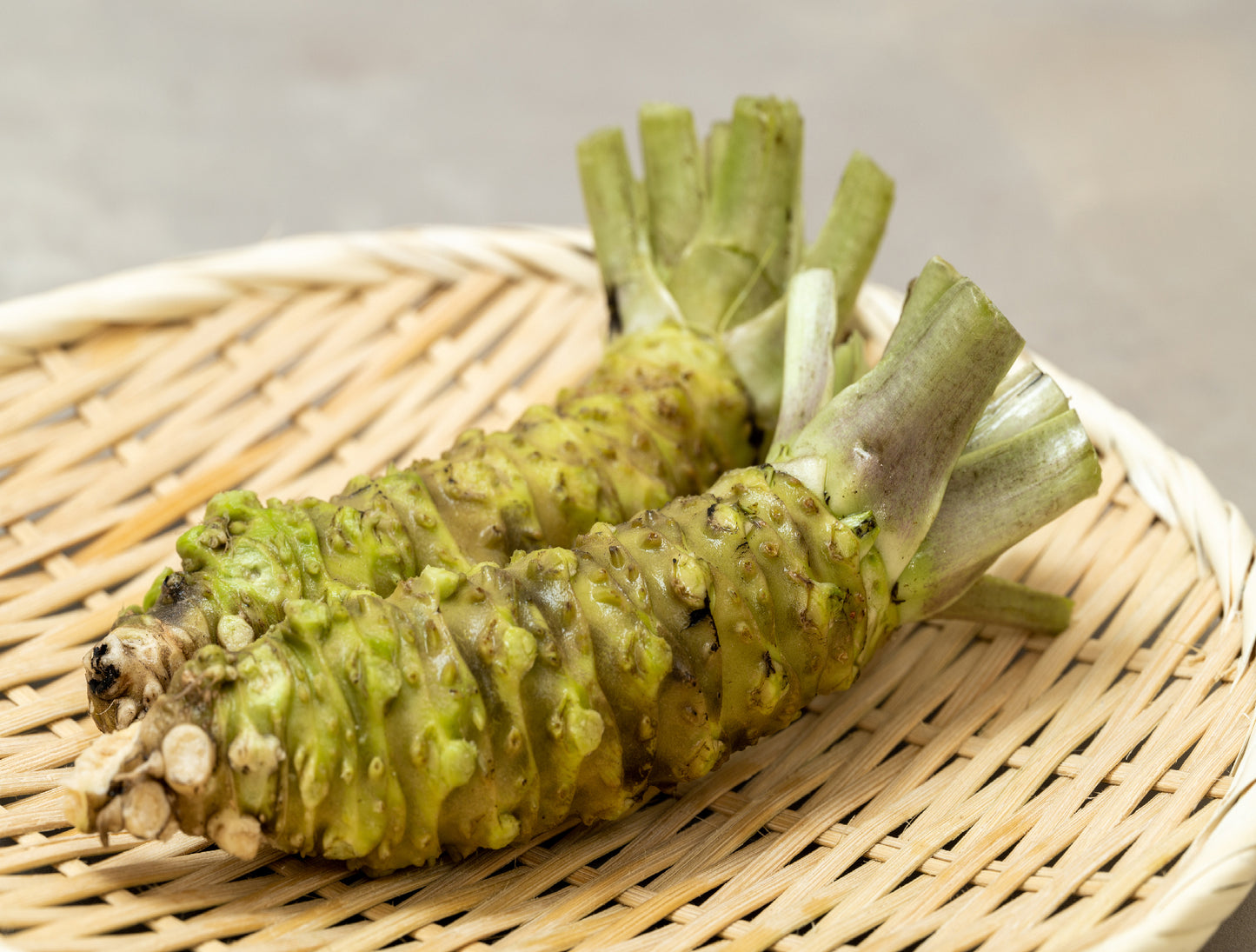 Fresh Japanese Wasabi Roots (Hon Wasabi)