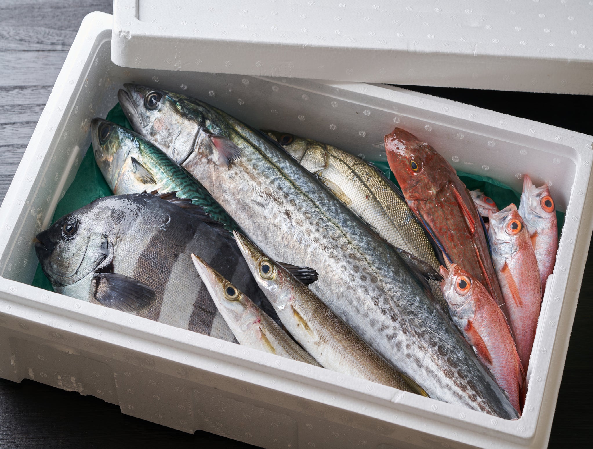 Omakase Hokkaido Fish Box