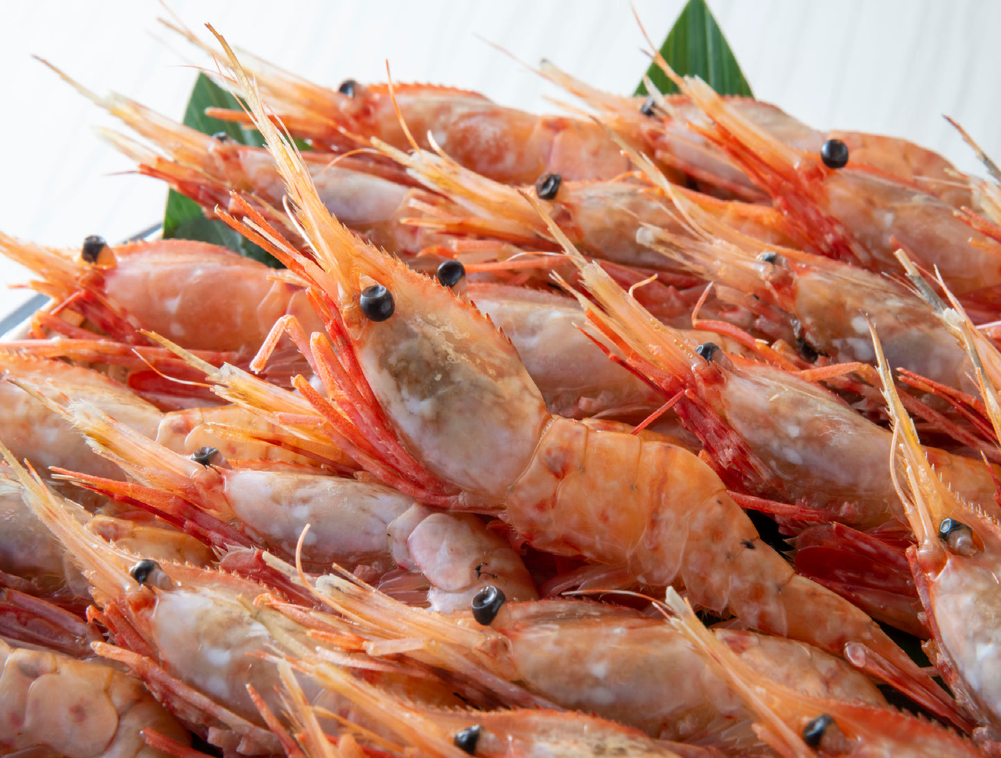 Frozen Botan Ebi (Spot Prawn) XL 21-24 PC